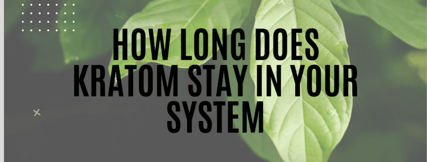 how long does kratom stay in your system