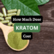 how much does kratom cost