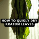 how to quickly dry kratom leaves