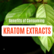 kratom extracts benefits