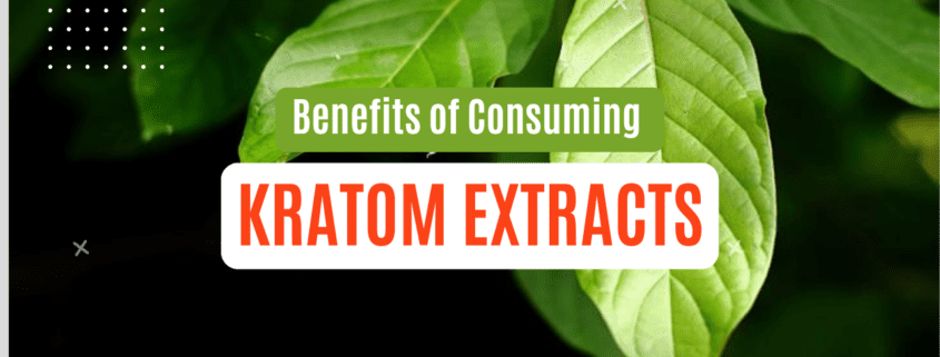 kratom extracts benefits