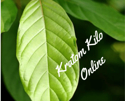 kratom kilo