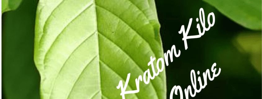 kratom kilo