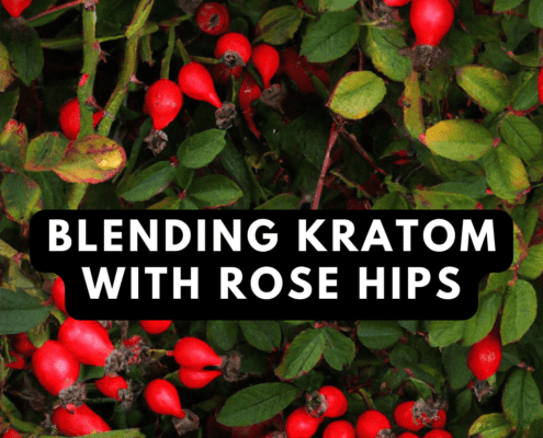 kratom rose hips blend