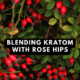 kratom rose hips blend