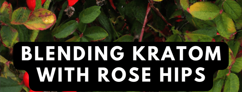 kratom rose hips blend