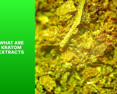 What are kratom extracts