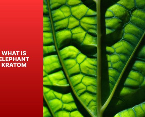 what is elephant kratom