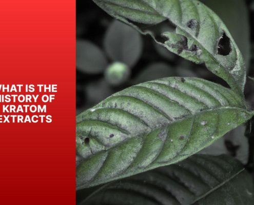 history of kratom