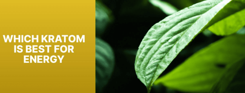 which kratom is best for energy