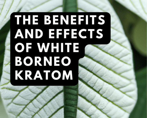 white borneo kratom