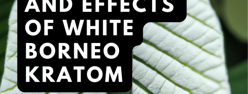 white borneo kratom