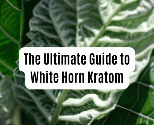 white horn kratom