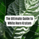 white horn kratom