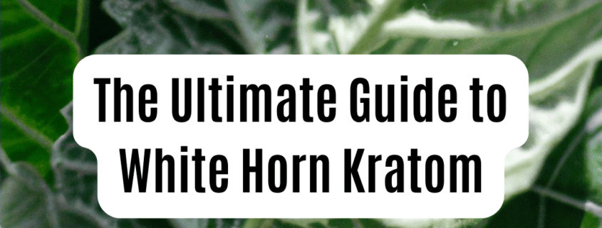 white horn kratom