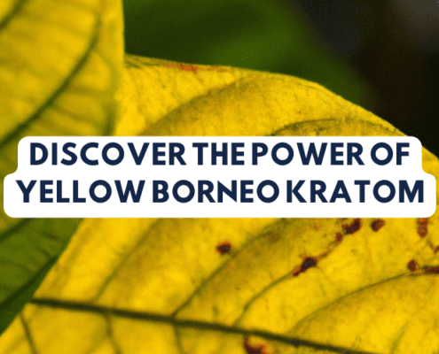 yellow borneo kratom