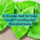 is kratom bad for your liver