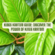 Kings Kratom