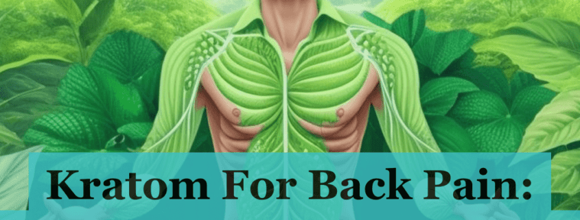 Kratom For Back Pain