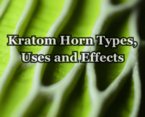 kratom horn