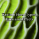 kratom horn