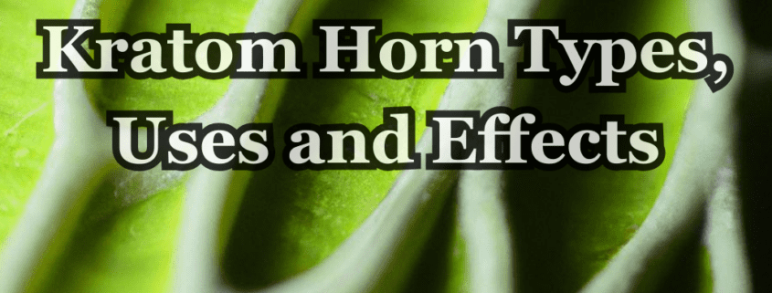 kratom horn