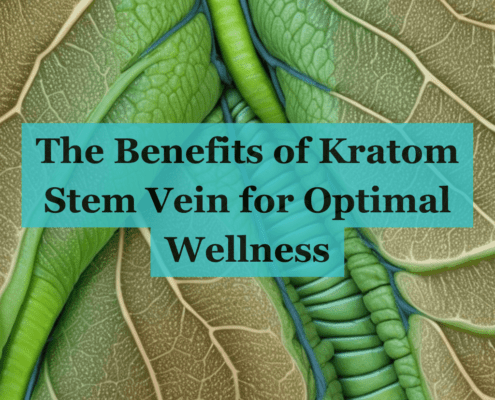 Kratom Stem Vein