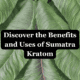 Sumatra Kratom