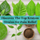 Best Kratom Strains for Pain