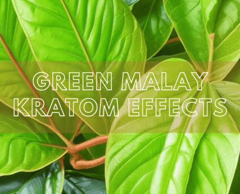 green malay kratom effects