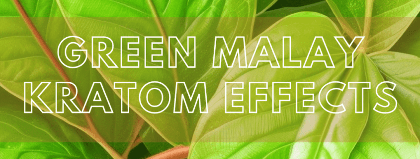 green malay kratom effects