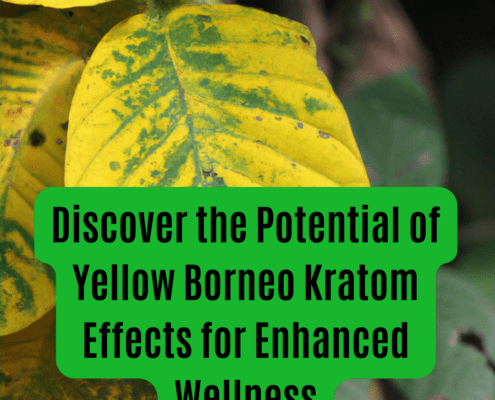 yellow borneo kratom effects