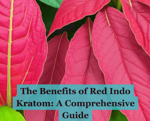 Red Indo Kratom