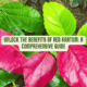 Red Kratom