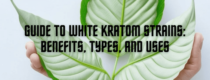 White Kratom Strains