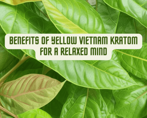 Yellow Vietnam Kratom